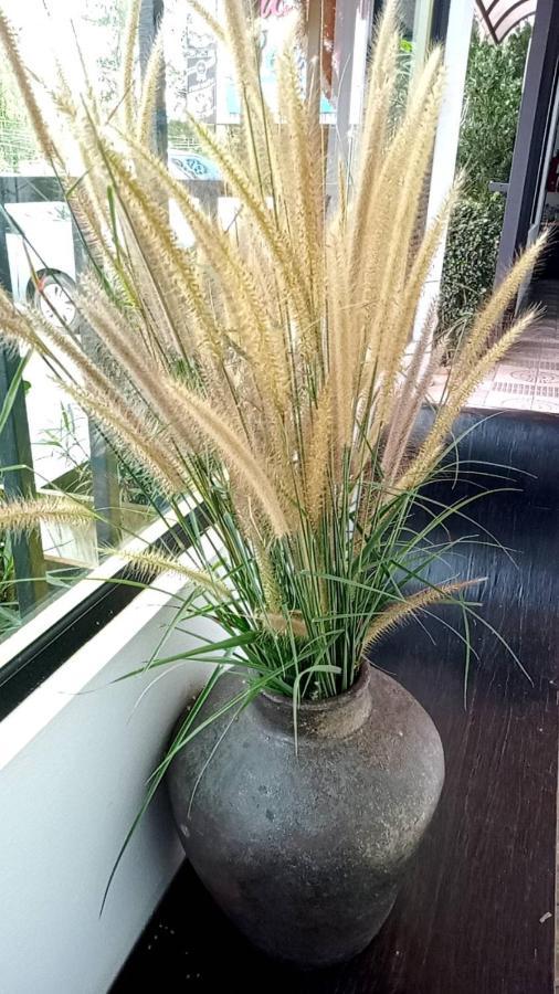 蓝色兰花海滩酒店 班奥南矛 外观 照片